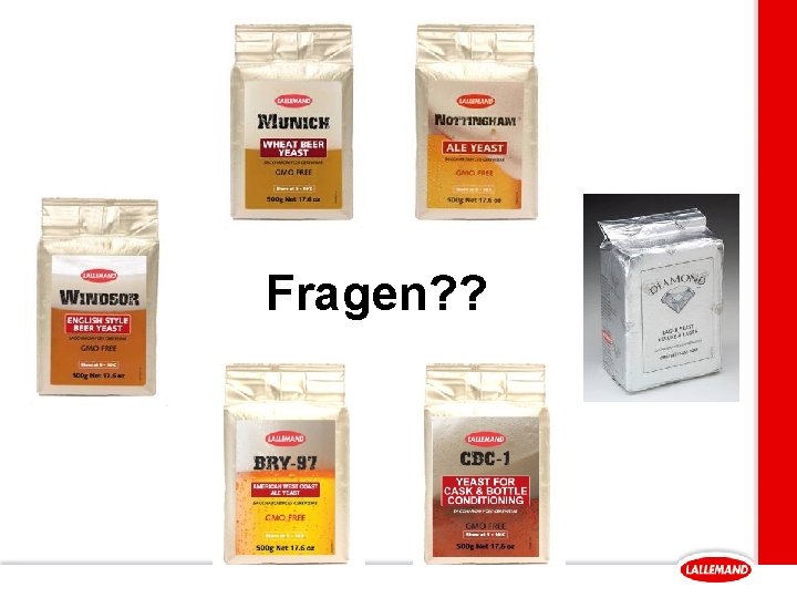 Fragen? ? 