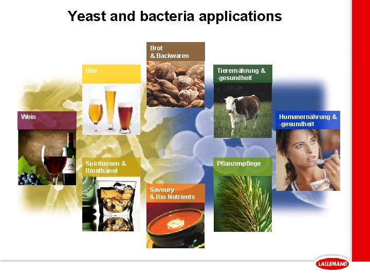 Yeast and bacteria applications Brot & Backwaren Bier Tierernährung & -gesundheit Humanernährung & -gesundheit