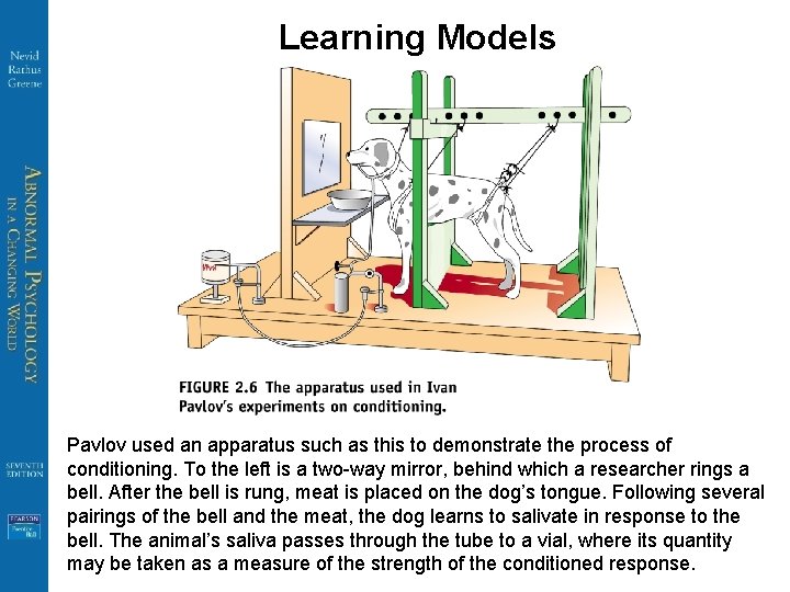 Learning Models Pavlov used an apparatus such as this to demonstrate the process of