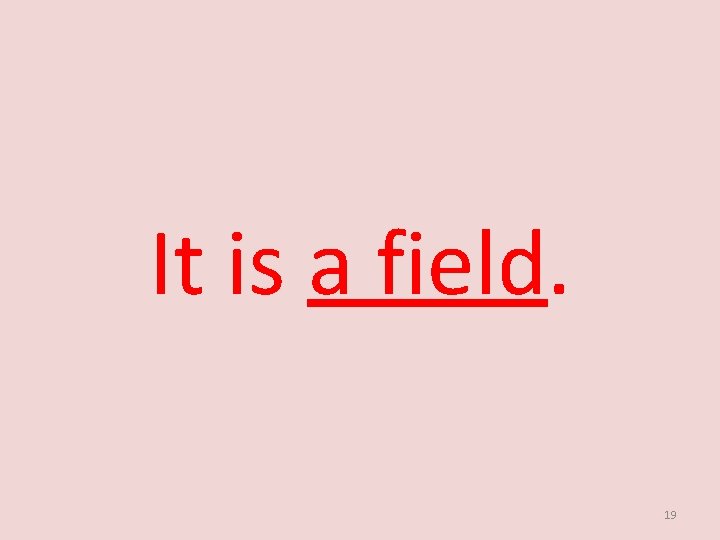 It is a field. 19 