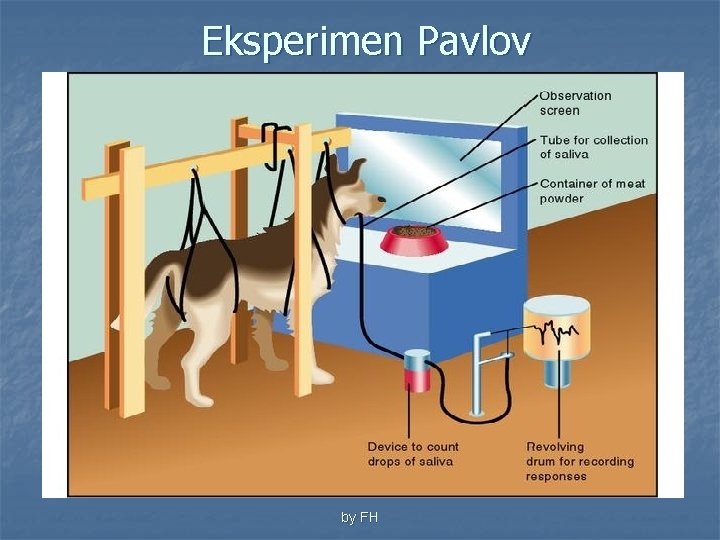 Eksperimen Pavlov by FH 