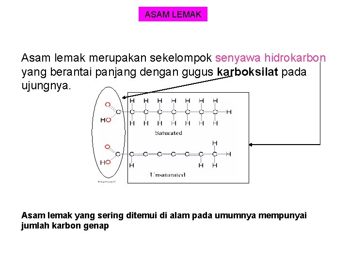 ASAM LEMAK Asam lemak merupakan sekelompok senyawa hidrokarbon yang berantai panjang dengan gugus karboksilat