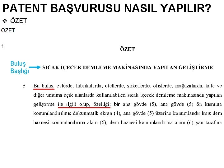 PATENT BAŞVURUSU NASIL YAPILIR? v ÖZET Buluş Başlığı 