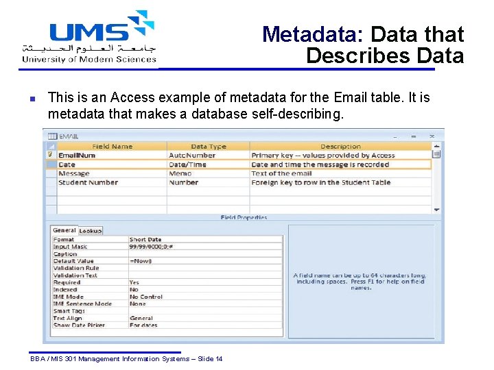Metadata: Data that Describes Data n This is an Access example of metadata for