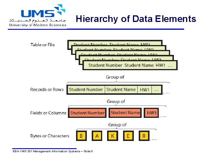 Hierarchy of Data Elements BBA / MIS 301 Management Information Systems – Slide 8