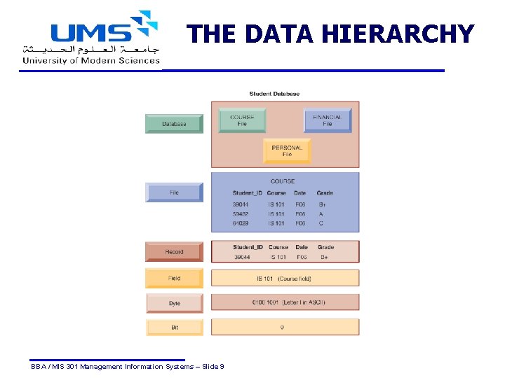 THE DATA HIERARCHY BBA / MIS 301 Management Information Systems – Slide 9 