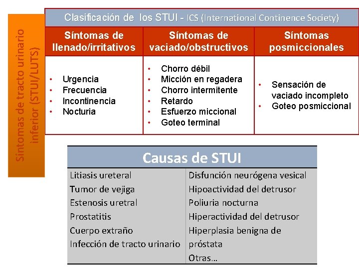 Síntomas de tracto urinario inferior (STUI/LUTS) Clasificación de los STUI - ICS (International Continence
