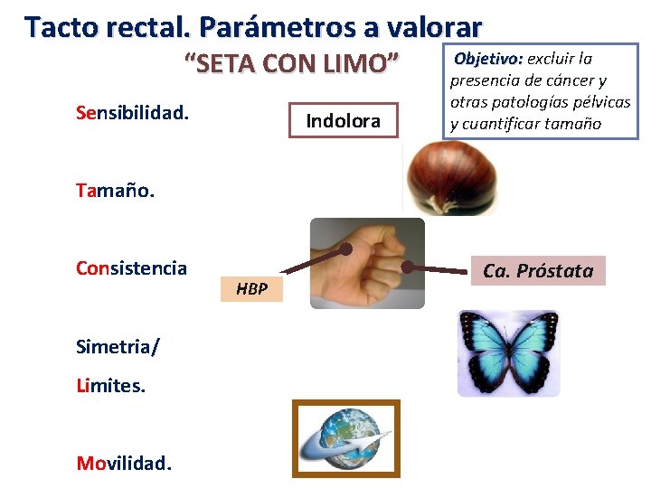 Tacto rectal. Parámetros a valorar “SETA CON LIMO” Sensibilidad. Indolora Objetivo: excluir la presencia