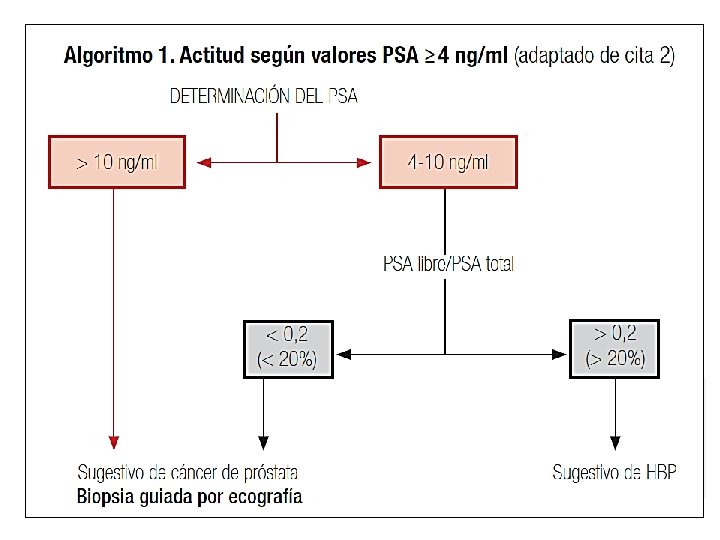 Antígeno prostático específico (PSA) Marcador específico de tejido prostático Aporta información muy útil para