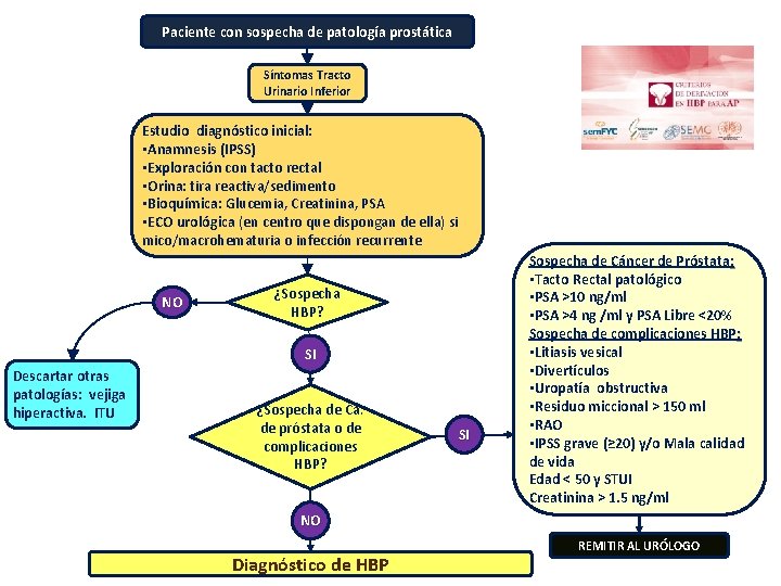 Paciente con sospecha de patología prostática Síntomas Tracto Urinario Inferior Estudio diagnóstico inicial: •