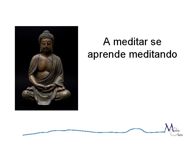 A meditar se aprende meditando 