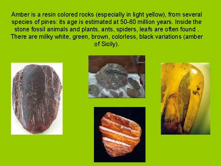 Amber is a resin colored rocks (especially in light yellow), from several species of