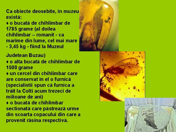 Ca obiecte deosebite, în muzeu există: ♦ o bucată de chihlimbar de 1785 grame