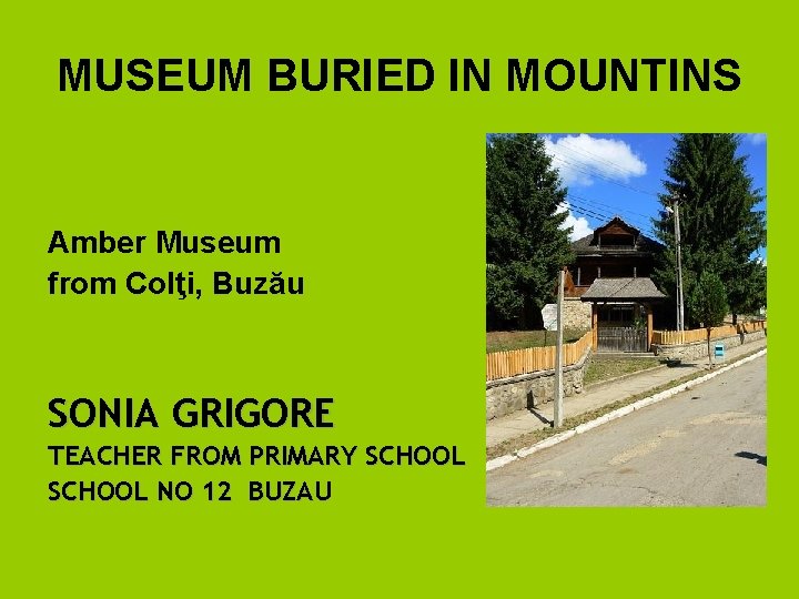 MUSEUM BURIED IN MOUNTINS Amber Museum from Colţi, Buzău SONIA GRIGORE TEACHER FROM PRIMARY