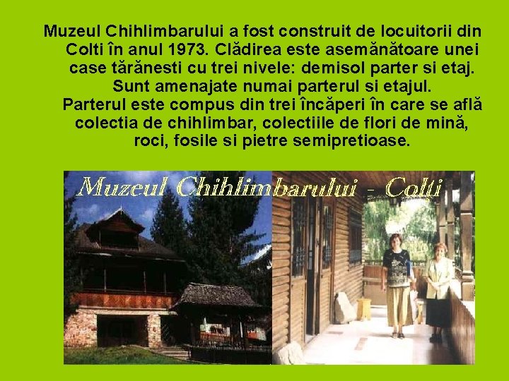 Muzeul Chihlimbarului a fost construit de locuitorii din Colti în anul 1973. Clădirea este