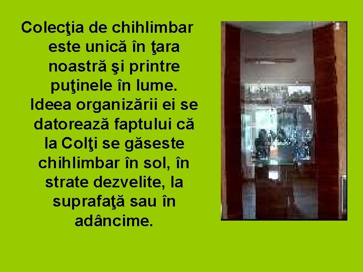 Colecţia de chihlimbar este unică în ţara noastră şi printre puţinele în lume. Ideea