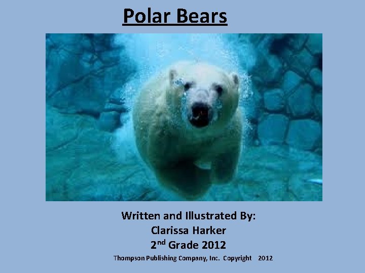 Polar Bears Written and Illustrated By: Clarissa Harker 2 nd Grade 2012 Thompson Publishing