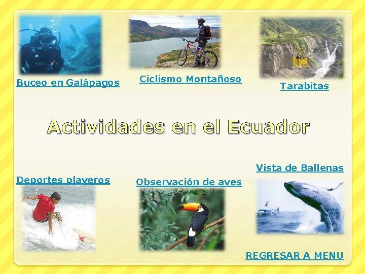 Buceo en Galápagos Ciclismo Montañoso Tarabitas Actividades en el Ecuador Vista de Ballenas Deportes