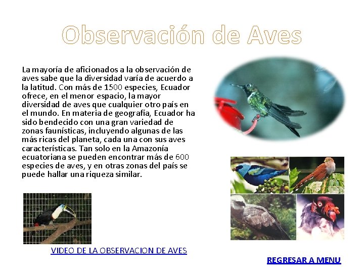Observación de Aves La mayoría de aficionados a la observación de aves sabe que