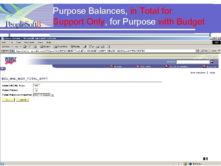 Purpose Balances, in Total for Support Only, for Purpose with Budget 81 