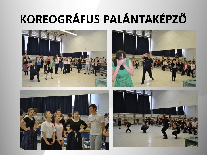 KOREOGRÁFUS PALÁNTAKÉPZŐ 