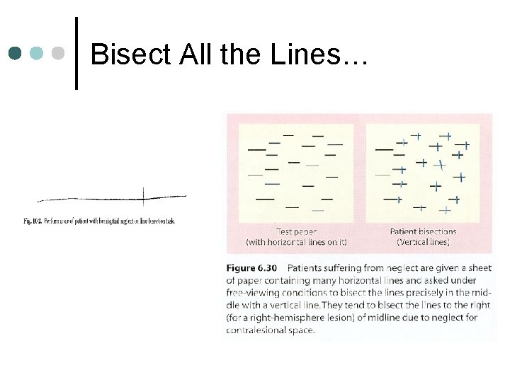 Bisect All the Lines… 