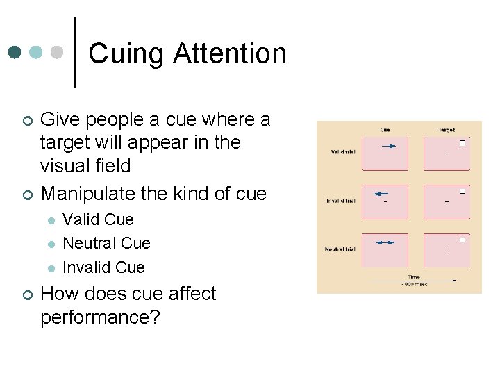 Cuing Attention ¢ ¢ Give people a cue where a target will appear in