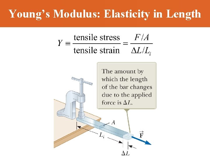 Young’s Modulus: Elasticity in Length 