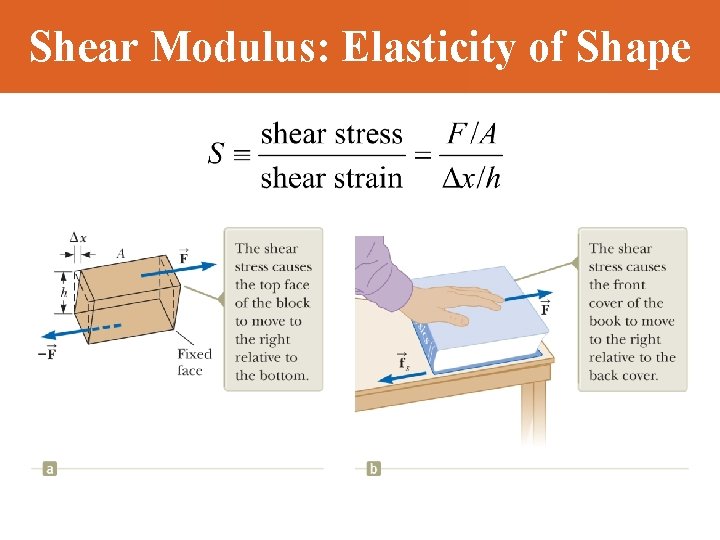 Shear Modulus: Elasticity of Shape 