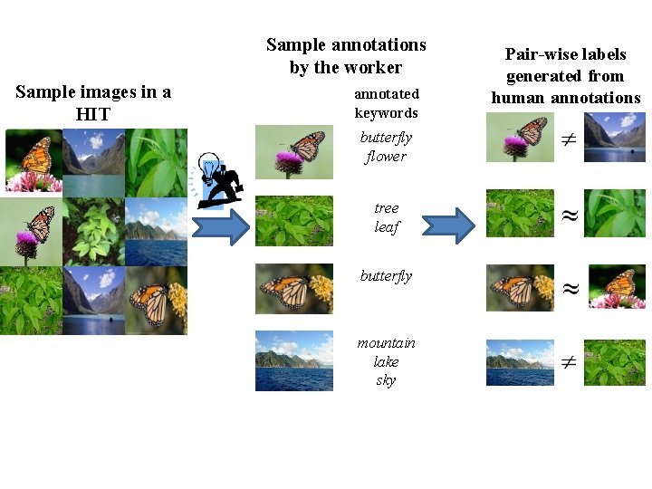Sample annotations by the worker Sample images in a HIT annotated keywords butterfly flower