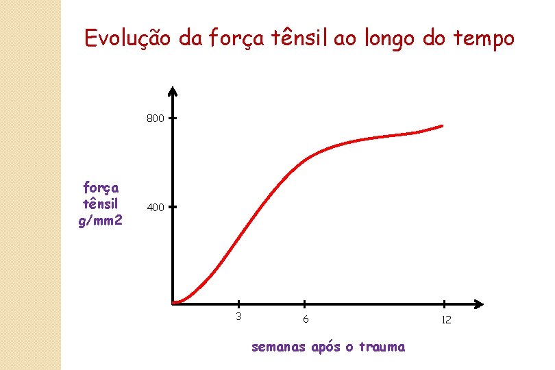 Evolução da força tênsil ao longo do tempo 800 força tênsil g/mm 2 400