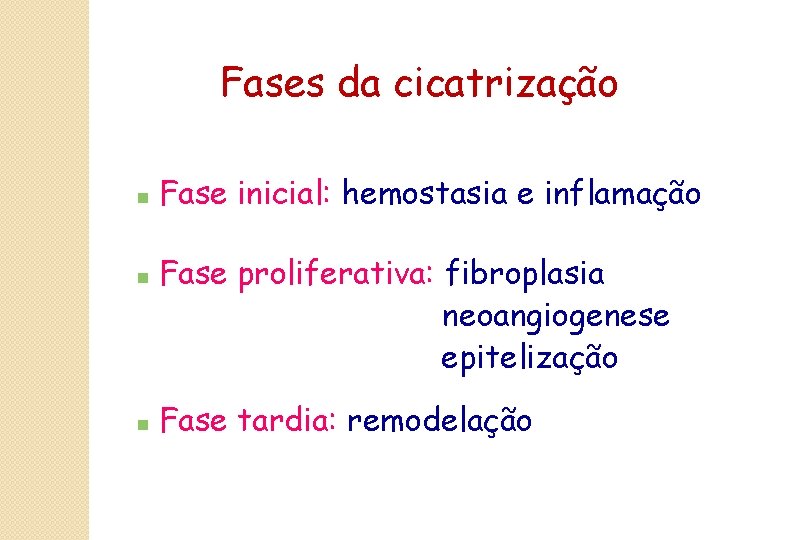 Fases da cicatrização n n n Fase inicial: hemostasia e inflamação Fase proliferativa: fibroplasia