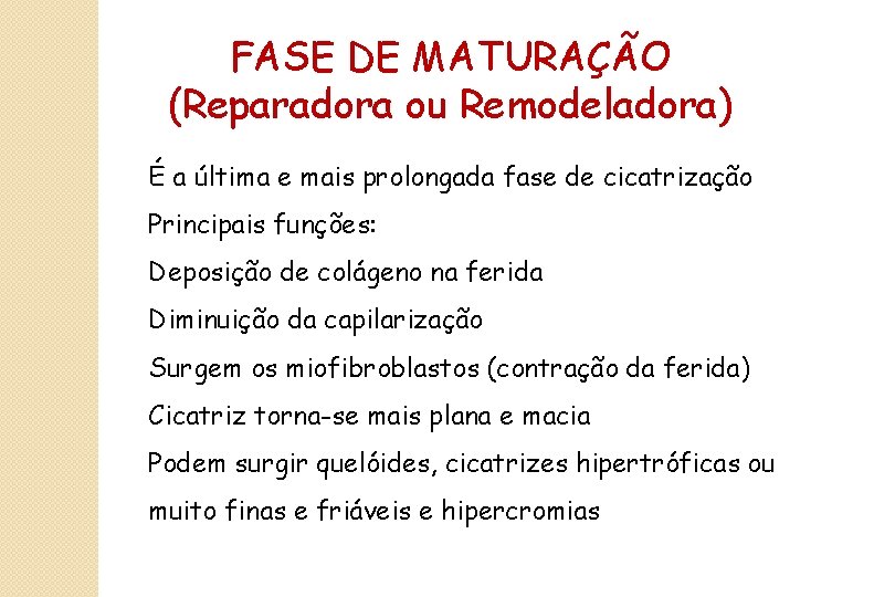 FASE DE MATURAÇÃO (Reparadora ou Remodeladora) É a última e mais prolongada fase de