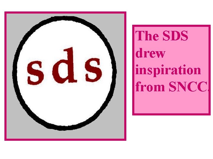 The SDS drew inspiration from SNCC. 