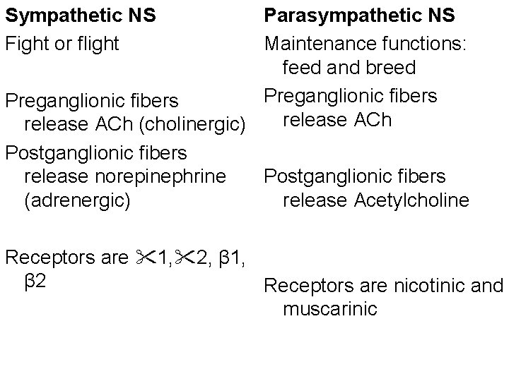 Sympathetic NS Fight or flight Parasympathetic NS Maintenance functions: feed and breed Preganglionic fibers