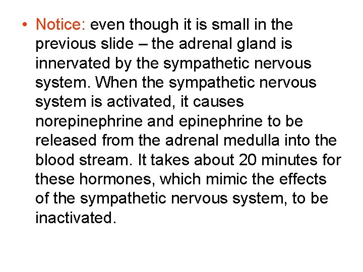  • Notice: even though it is small in the previous slide – the