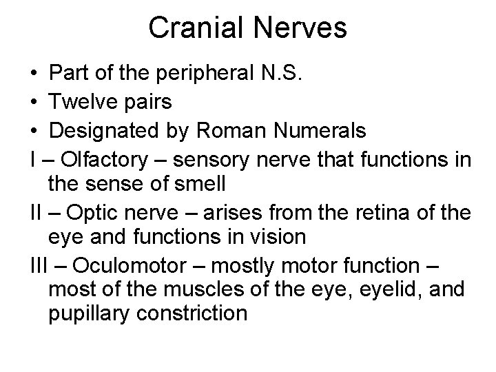 Cranial Nerves • Part of the peripheral N. S. • Twelve pairs • Designated