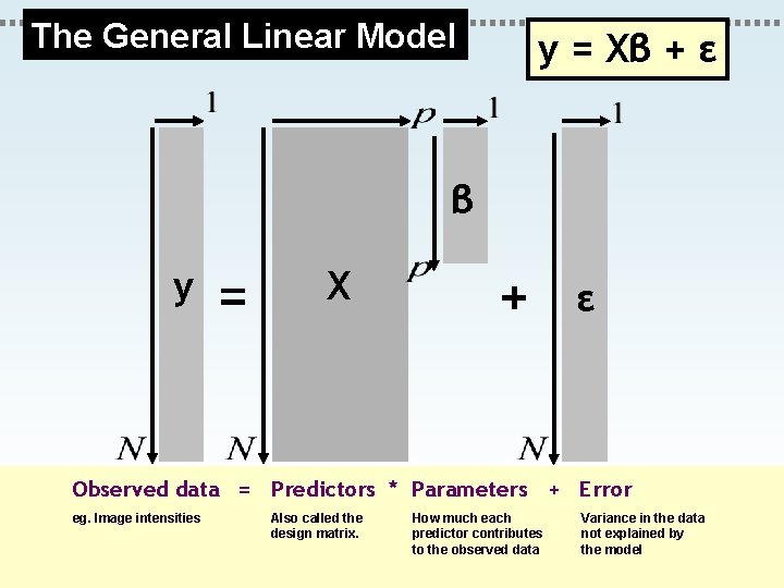 The General Linear Model y = Xβ + ε β y = X +