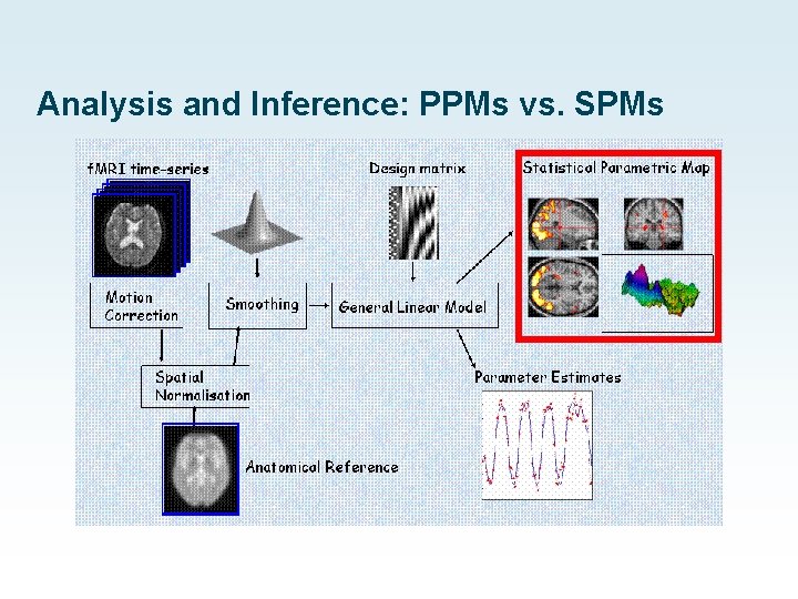 Analysis and Inference: PPMs vs. SPMs 