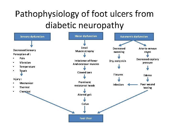 Pathophysiology of foot ulcers from diabetic neuropathy Sensory dysfunction Decreased Sensory Perception of : Pathophysiology of foot ulcers from diabetic neuropathy Sensory dysfunction Decreased Sensory Perception of :
