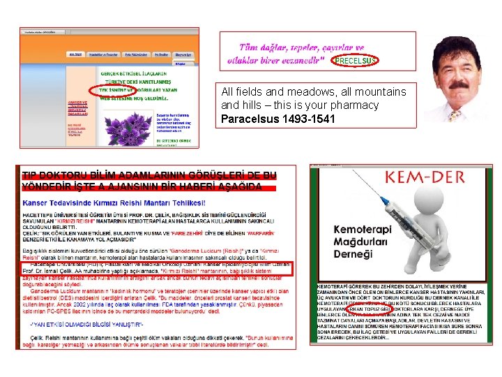 All fields and meadows, all mountains and hills – this is your pharmacy Paracelsus