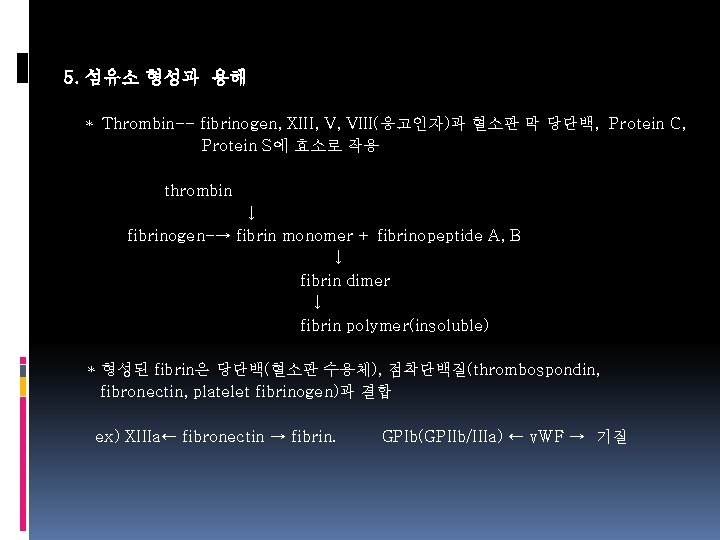 5. 섬유소 형성과 용해 * Thrombin-- fibrinogen, XIII, V, VIII(응고인자)과 혈소판 막 당단백, Protein