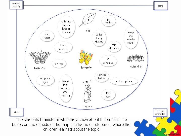 The students brainstorm what they know about butterflies. The boxes on the outside of