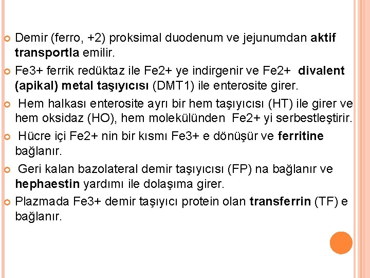 Demir (ferro, +2) proksimal duodenum ve jejunumdan aktif transportla emilir. Fe 3+ ferrik redüktaz