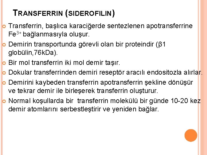 TRANSFERRIN (SIDEROFILIN) Transferrin, başlıca karaciğerde sentezlenen apotransferrine Fe 3+ bağlanmasıyla oluşur. Demirin transportunda görevli