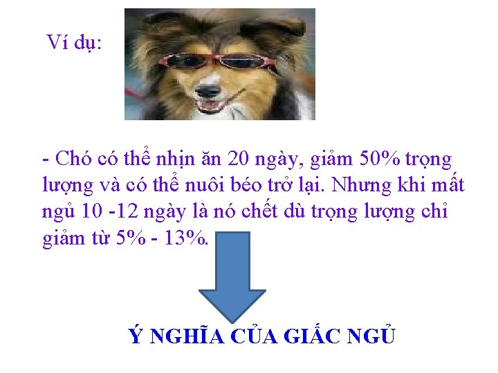 Ví dụ: - Chó có thể nhịn ăn 20 ngày, giảm 50% trọng lượng