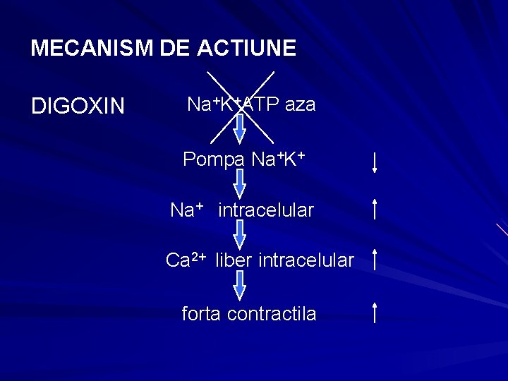MECANISM DE ACTIUNE DIGOXIN Na+K+ATP aza Pompa Na+K+ Na+ intracelular Ca 2+ liber intracelular MECANISM DE ACTIUNE DIGOXIN Na+K+ATP aza Pompa Na+K+ Na+ intracelular Ca 2+ liber intracelular