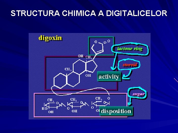 STRUCTURA CHIMICA A DIGITALICELOR STRUCTURA CHIMICA A DIGITALICELOR
