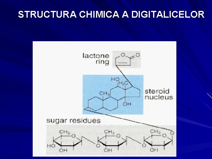 STRUCTURA CHIMICA A DIGITALICELOR STRUCTURA CHIMICA A DIGITALICELOR