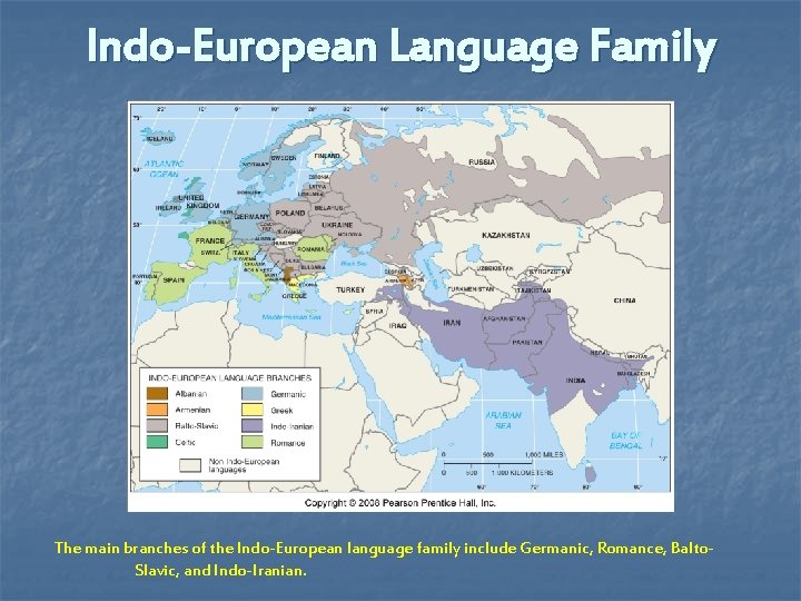 Indo-European Language Family The main branches of the Indo-European language family include Germanic, Romance,